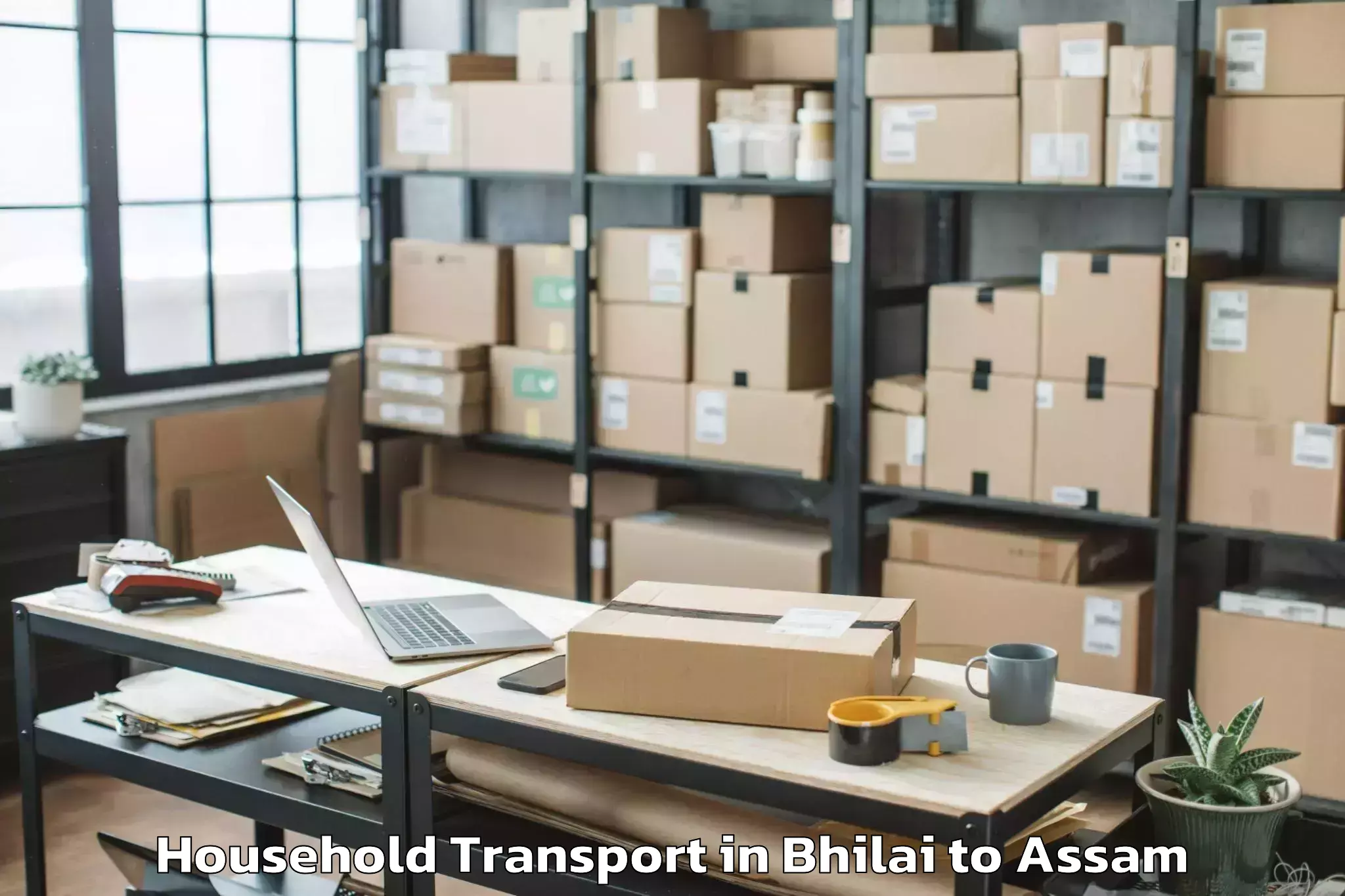 Book Bhilai to Hatsingimari Household Transport Online